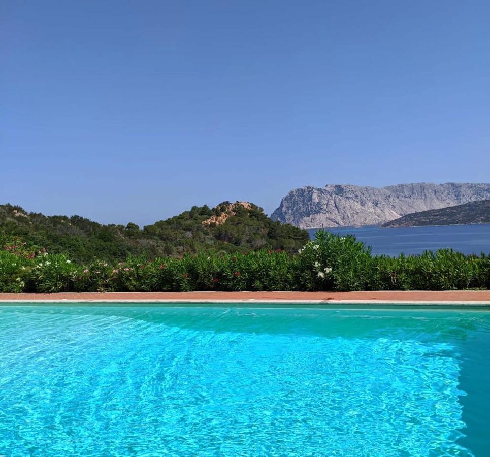 Апартаменти San Teodoro Punta Est Curatissimo Bilocale Капо-Кода-Кавалло Екстер'єр фото