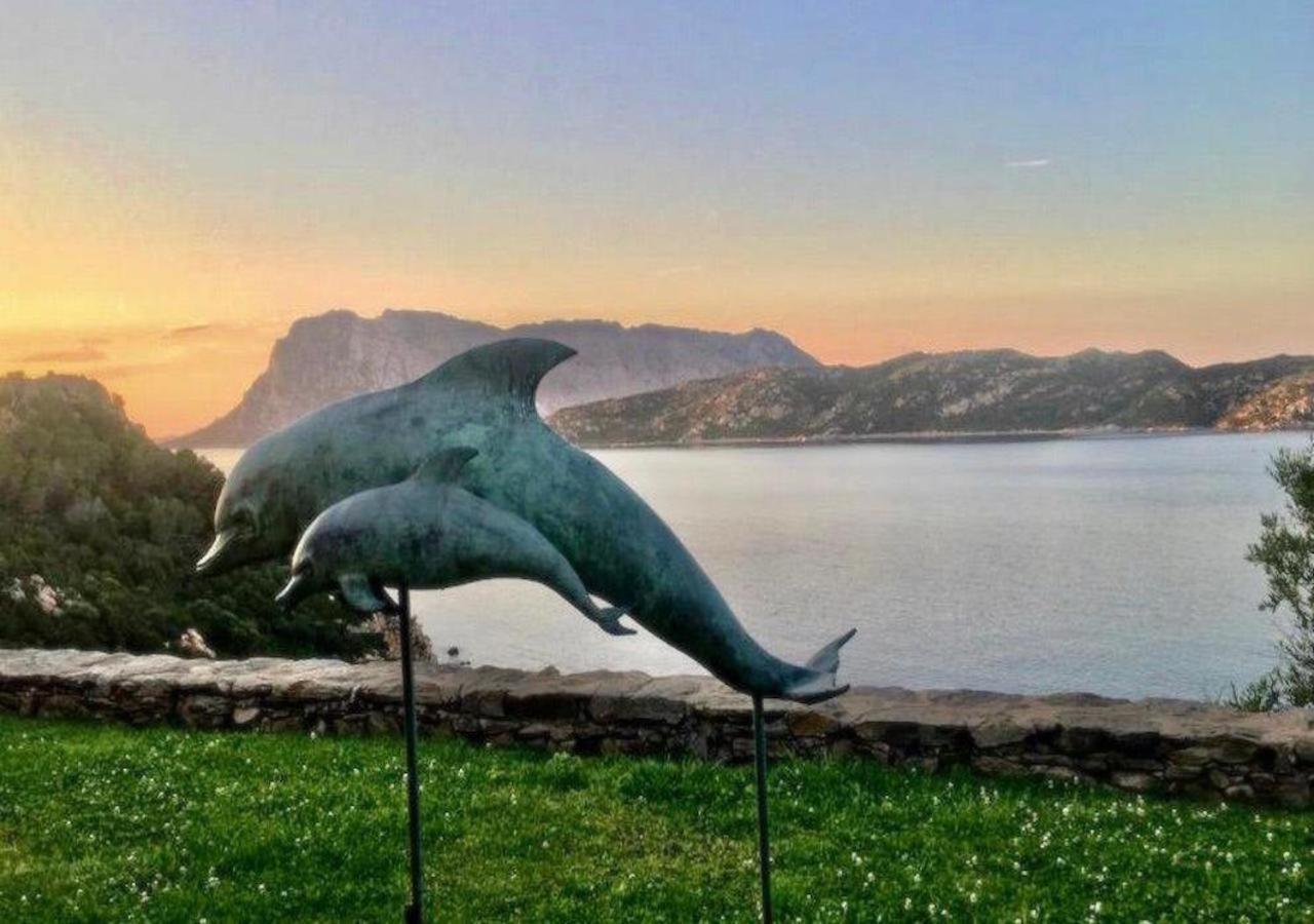 Апартаменти San Teodoro Punta Est Curatissimo Bilocale Капо-Кода-Кавалло Екстер'єр фото