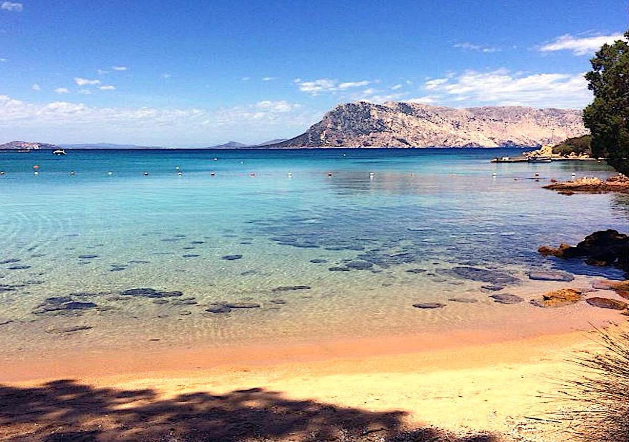 Апартаменти San Teodoro Punta Est Curatissimo Bilocale Капо-Кода-Кавалло Екстер'єр фото